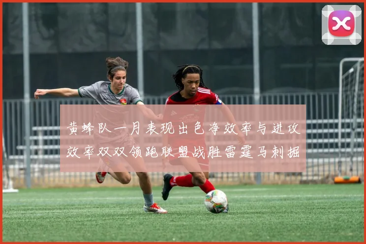 黄蜂队一月表现出色净效率与进攻效率双双领跑联盟战胜雷霆马刺掘金